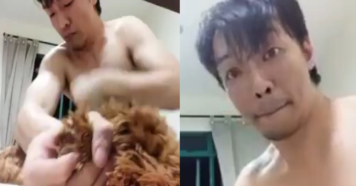 SICK MAN TIE UP DOG & PUNCH IT IN THE FACE, PLEADS GUILTY IN COURT