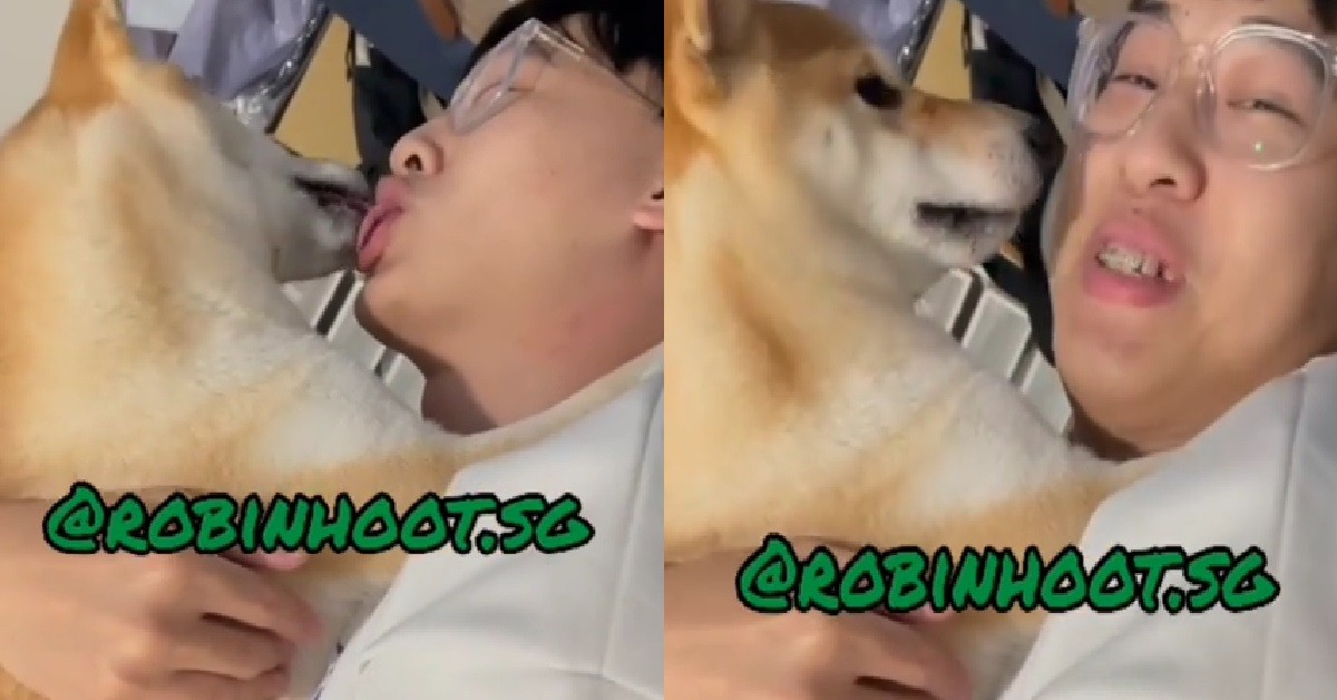 LONELY MAN LIE DOWN ON THE FLOOR & FRENCH KISS HIS SHIBA INU