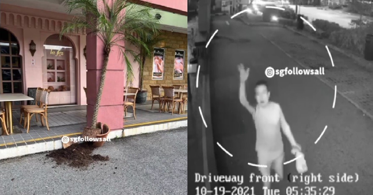 MAN CAUGHT DESTROYING RESTAURANT’S PLANTS, THEN WAVE TO CCTV