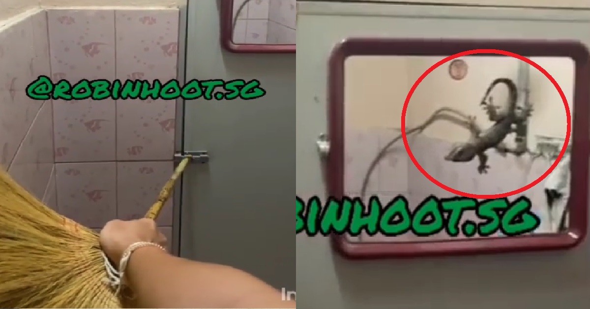 GUY TRAPPED INSIDE TOILET BECAUSE GOT GIANT LIZARD OUTSIDE