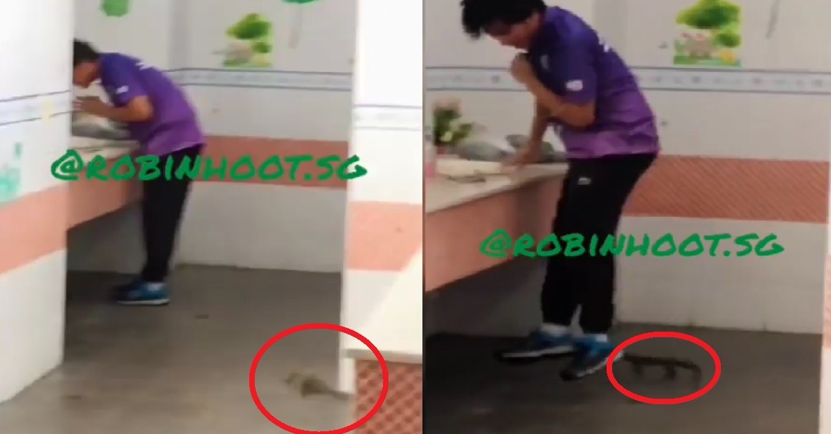 GUY BLOW NOSE IN TOILET, SEES GIANT LIZARD & HITS HIGH NOTE LIKE ARIANA GRANDE