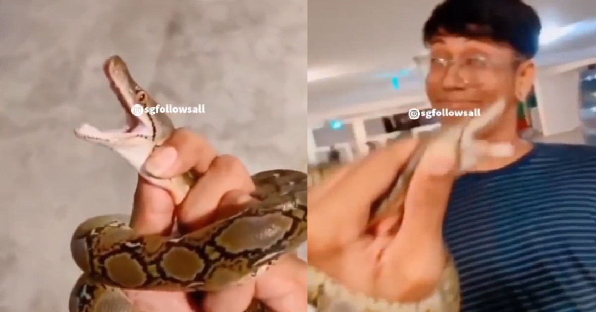 YP CAUGHT A SNAKE, CHOKE ITS NECK AND BRING TO CARPARK TO SHOW OFF