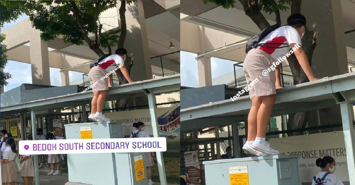 AH BOI WANT TO BE SPIDERMAN, CLIMB ON TOP OF SHELTER ROOFTOP