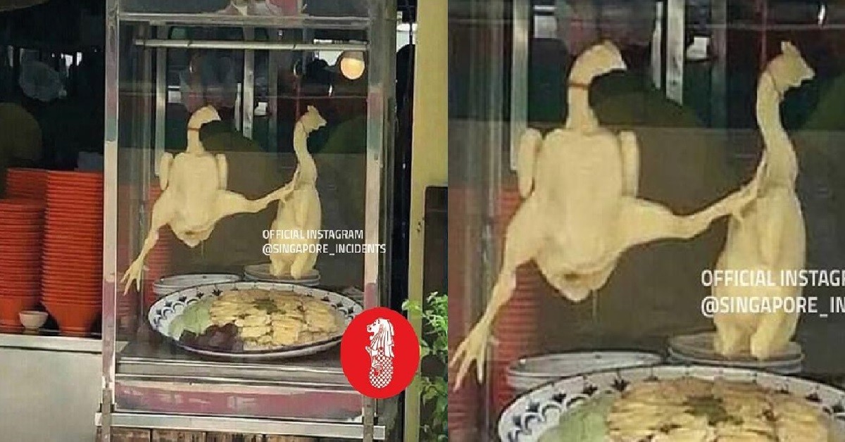 STEAMED CHICKEN PRACTICING SOCIAL DISTANCING WITH KUNGFU KICK