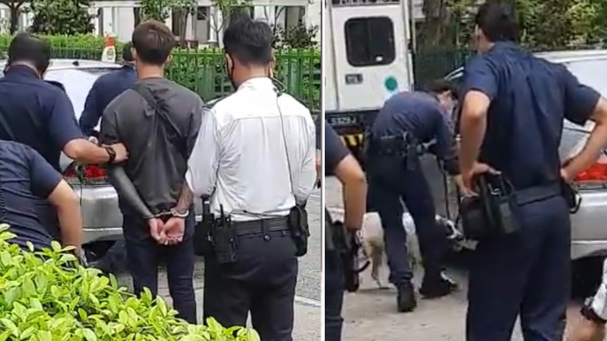 POLICE DOG DEPLOYED TO CHECK ON THE VIRAL MITSUBISHI LANCER