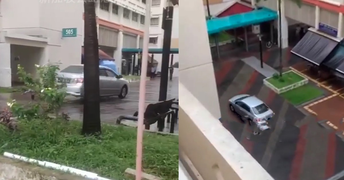 GENIUS DRIVER GOES ON PEDESTRIAN WALKWAY IN TAMPINES