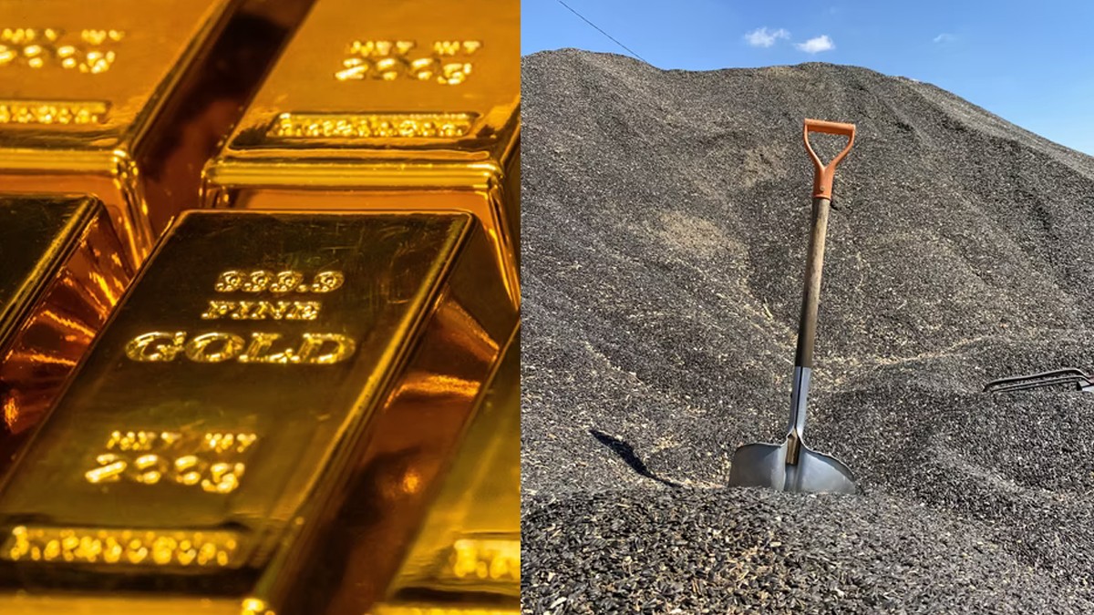 PARANOID BROTHER THINKS THAT EVERY GIRL IS A GOLD DIGGER
