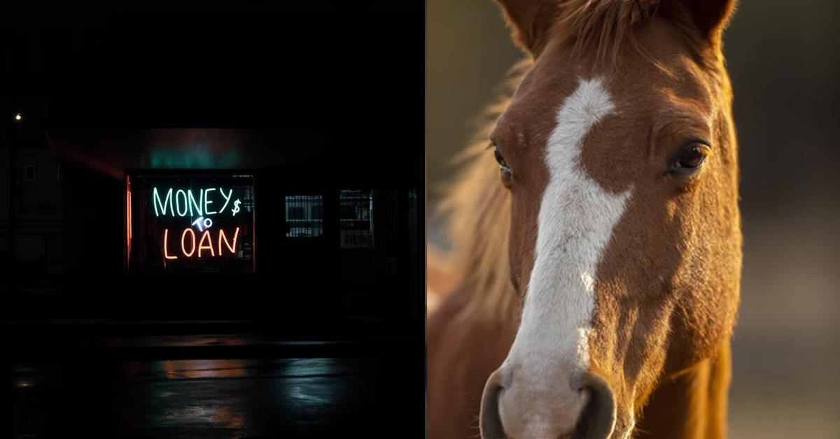 BF WANTS LOAN FOR PLASTIC SURGERY ENDS UP LOOKING LIKE HORSE