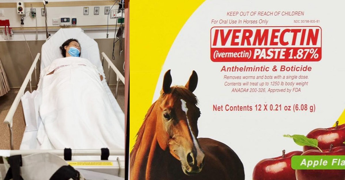 IVERMECTIN IS ALSO A DRUG USE TO TREAT HORSES AND COWS
