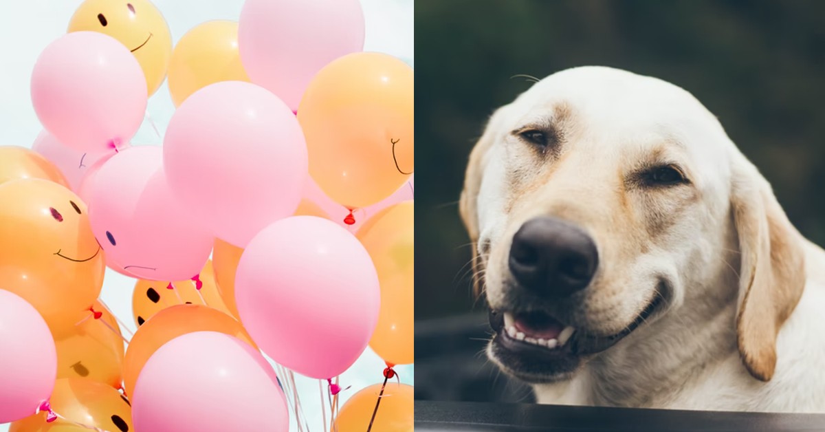 GIRL KEEPS TALKING ABOUT EX-BF TO CURRENT BF, EXPECTS HIM TO SMILE