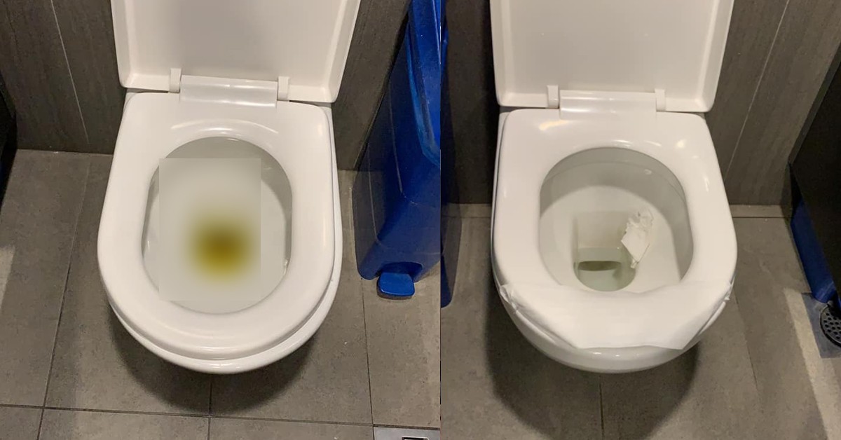 “TOILET INSPECTOR,” SAYS MANY PEOPLE DONO HOW TO FLUSH