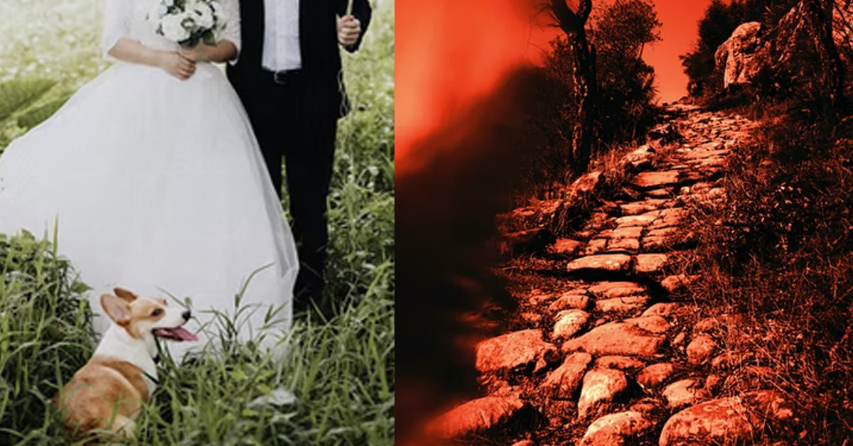 ‘LETTER TO SOON-TO-BE EX WIFE’ THE WIFE FROM HELL