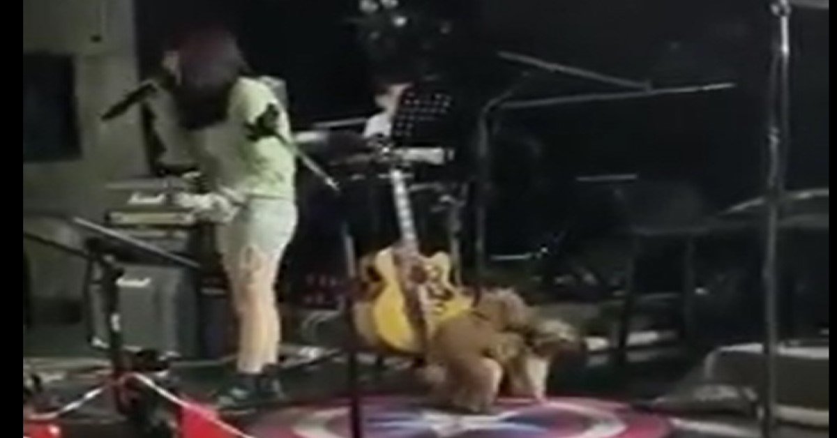 DOGS DOING IT LIVE ON STAGE BECAUSE SINGER SING NICE