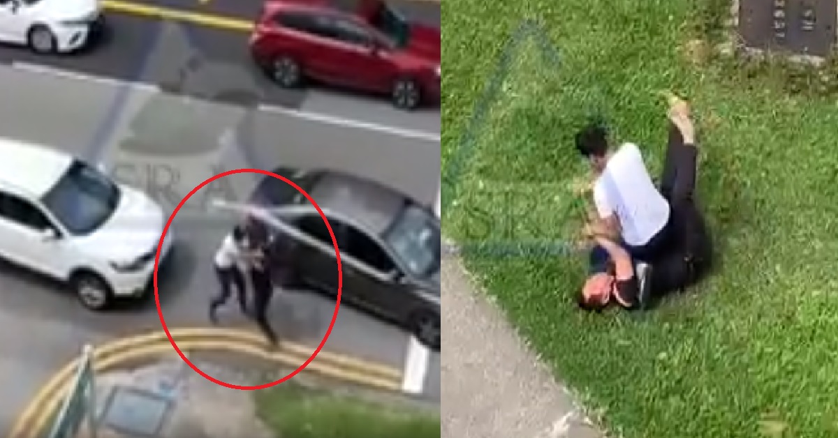 DRIVERS STOPPED CARS IN MIDDLE OF ROAD TO FIGHT ON THE GRASS