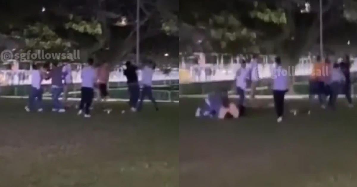 LARGE GROUP OF HOOLIGANS FIGHTING AT OPEN GRASS PATCH