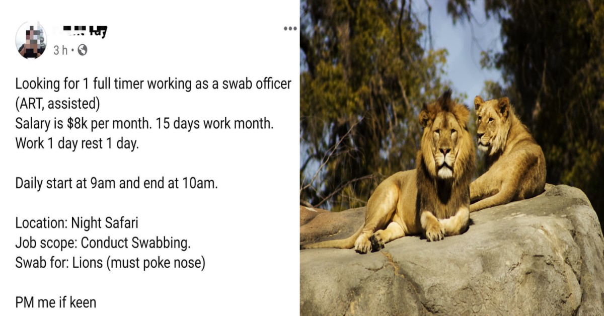 PARODY ‘ADVERTISEMENT’ SEEN ON SOCIAL MEDIA HIRING SWABBER FOR LIONS