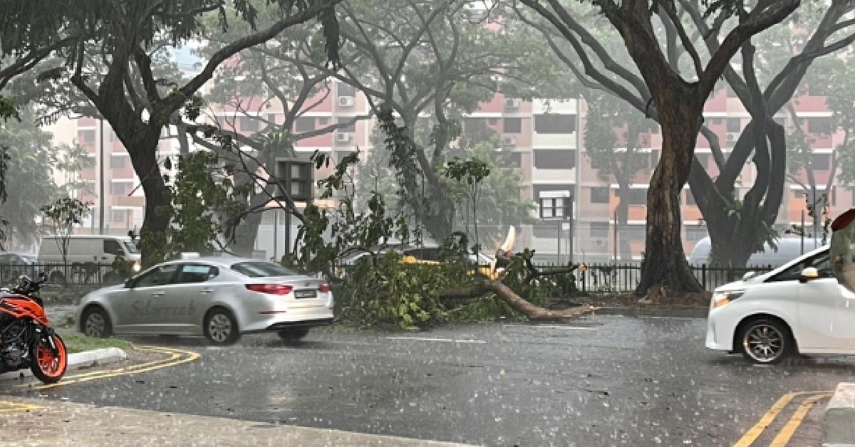 TREE FALLEN DUE TO HEAVY RAIN, BLOCKING HALF THE ROAD @ LORNIE RD
