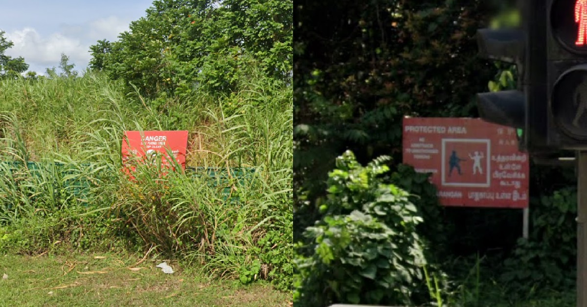 MAN TRESPASSED INTO RESTRICTED SAF TRAINING AREA TO “PICK PANDAN LEAVES”, JAILED