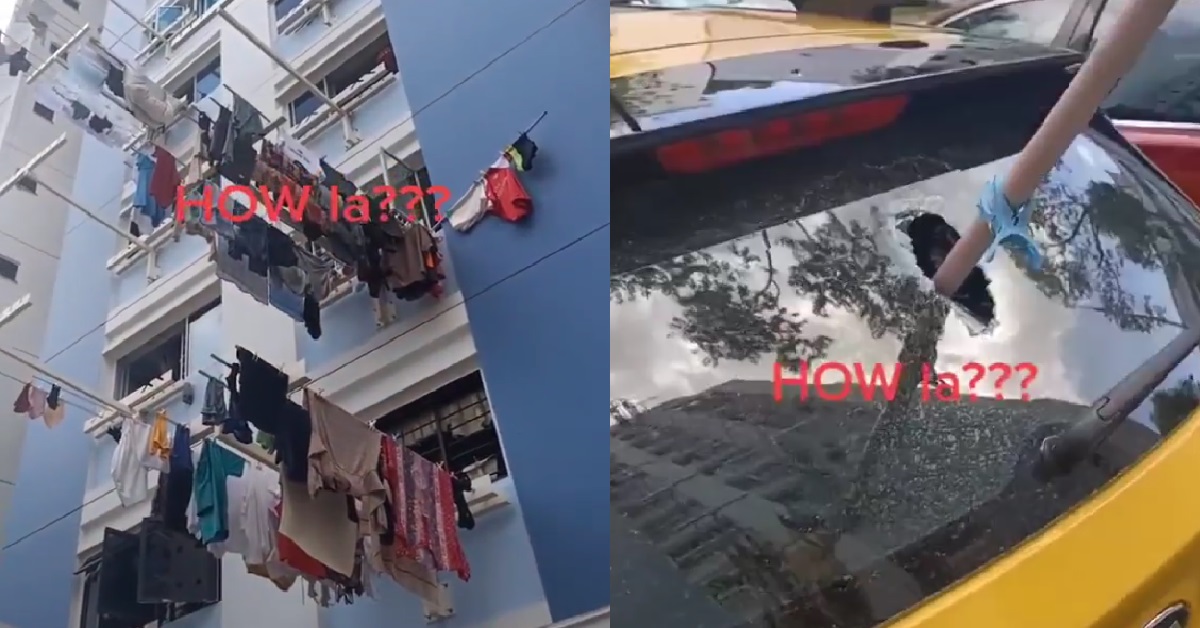 BAMBOO POLE WITH PANTIES CLIPPED ON IT, FELL FROM HDB AND PIERCED CAR BELOW