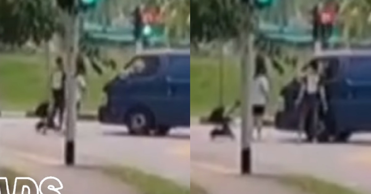VAN BEATS RED LIGHT, ALMOST RAN OVER MOTHER PUSHING BABY IN STROLLER