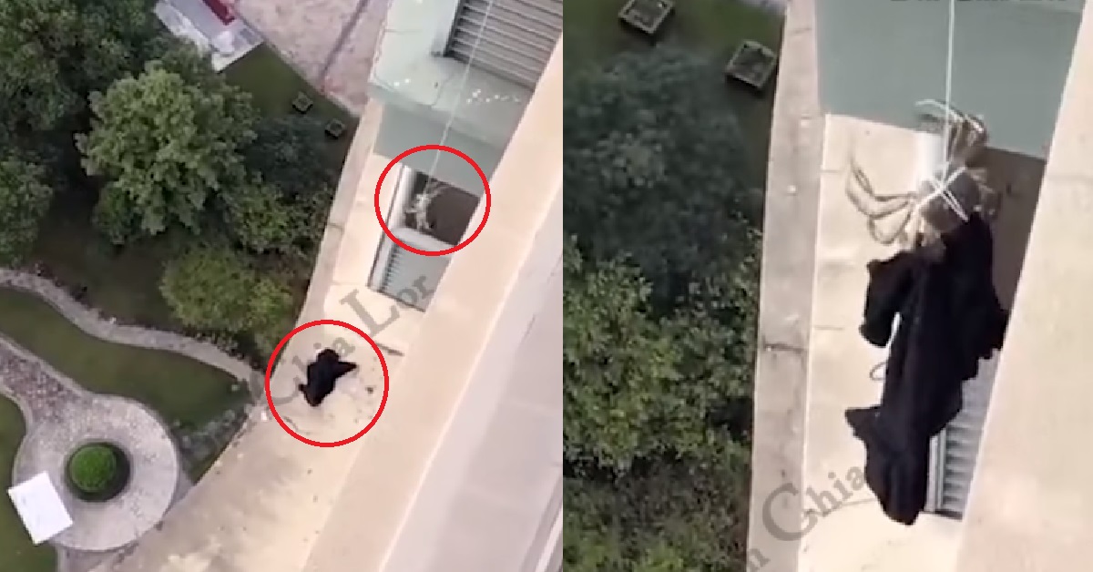 RESIDENT USES LIVE CRAB TO RETRIEVE  CLOTHES THAT DROPPED ON BALCONY BELOW
