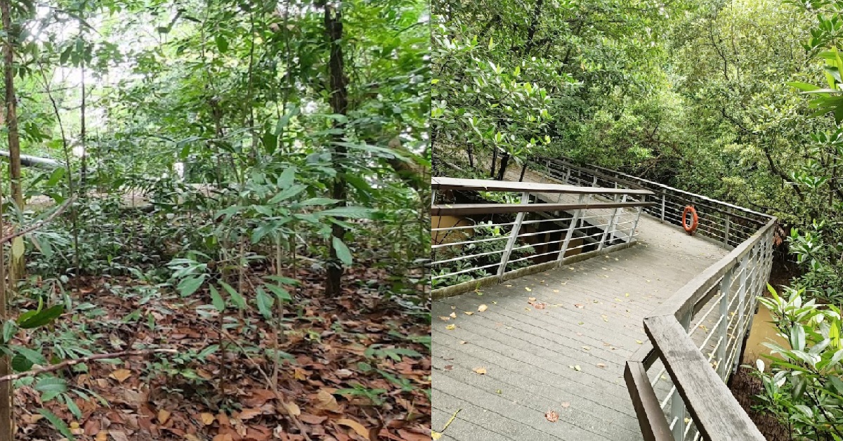 MAN KIDNAPPED EX-SCHOOLMATE, BEATS HIM UP THEN DUMP HIM AT LABRADOR PARK