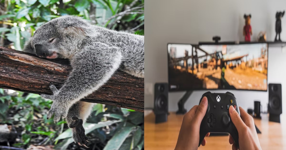 JOBLESS 30 Y.O GUY PLAYS VIDEO GAMES & WATCHES CAM GIRLS EVERY DAY