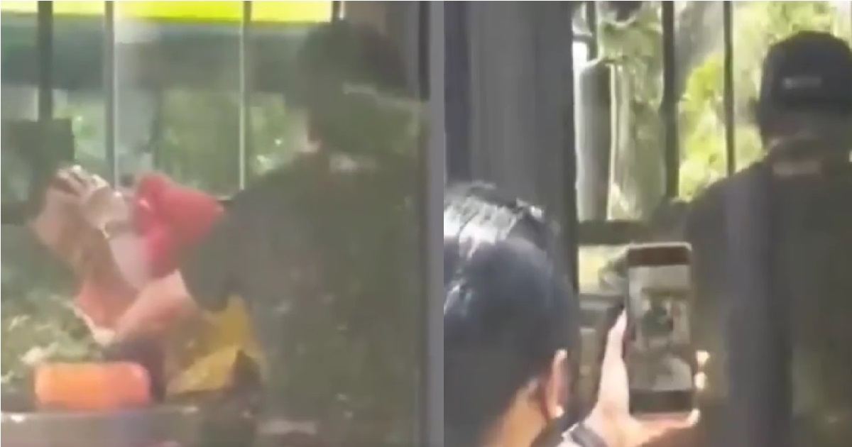 ELDERLY S’PORE FUGITIVE WHO BROKE BUS DRIVER’S NOSE, BURNS POLICEWOMAN WITH CIGARETTE