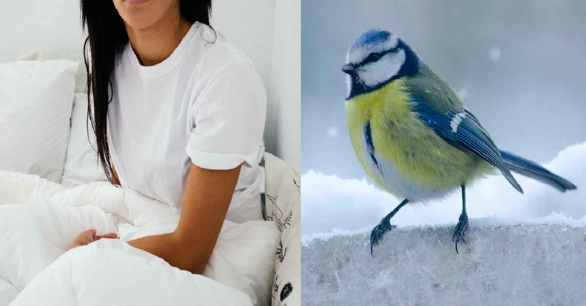 GIRL COMPLAINING ABOUT HOW HER FIANCE IS BAD IN BED & HAS A SMALL BIRD