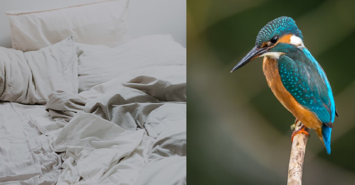 GIRL NOT HAPPY WITH NEW BF BECAUSE HIS “BIRD” IS THE SIZE OF HER PINKY