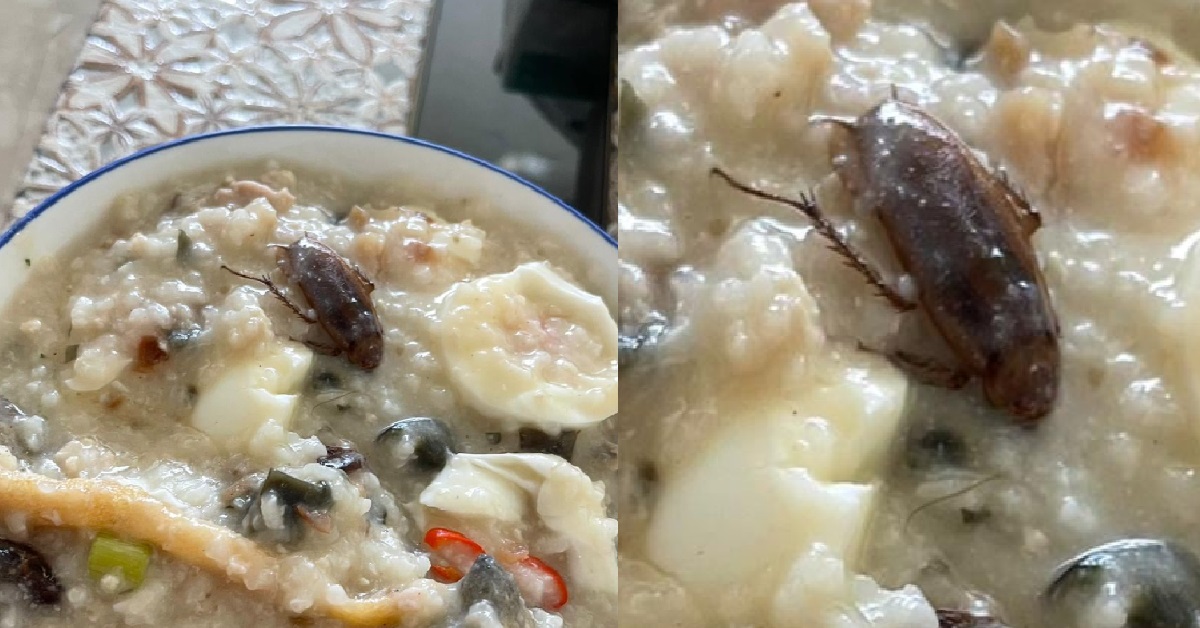 SFA INVESTIGATING COCKROACH IN PORRIDGE, STALL OWNER RESPONDS