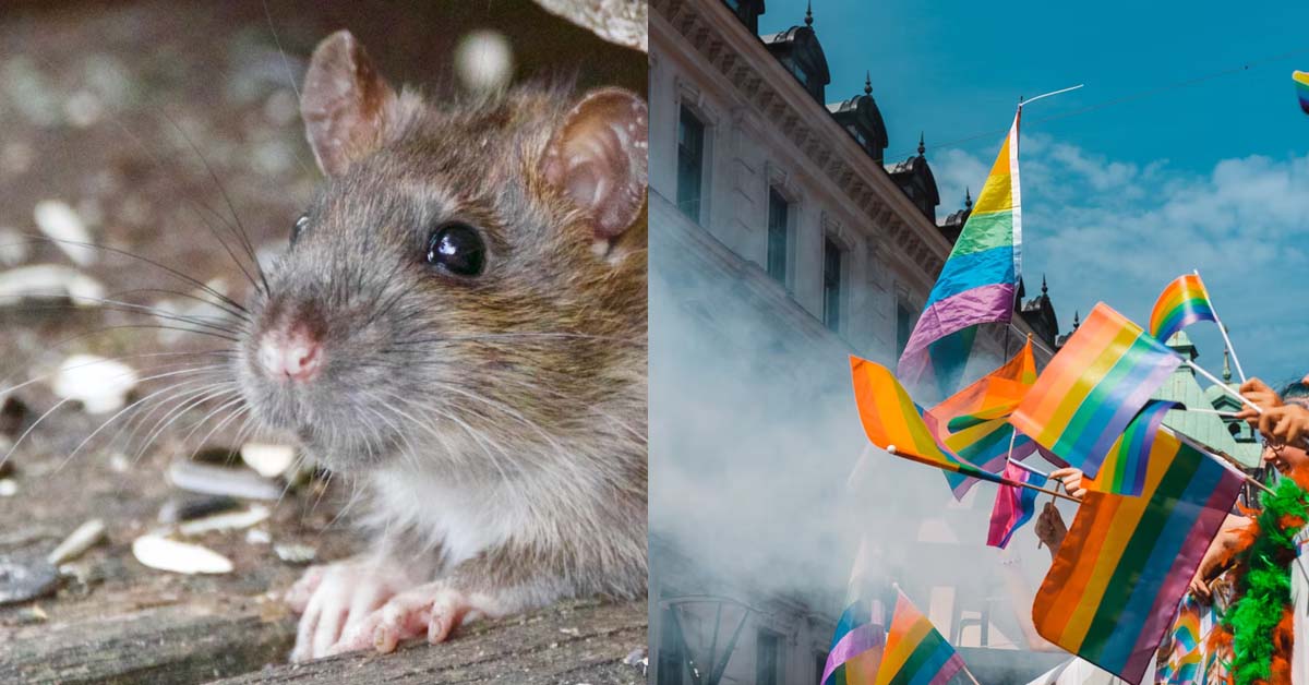 ATTENTION SEEKING GF WANTS TO WEAR “OFFENSIVE” DRESS TO WEDDING