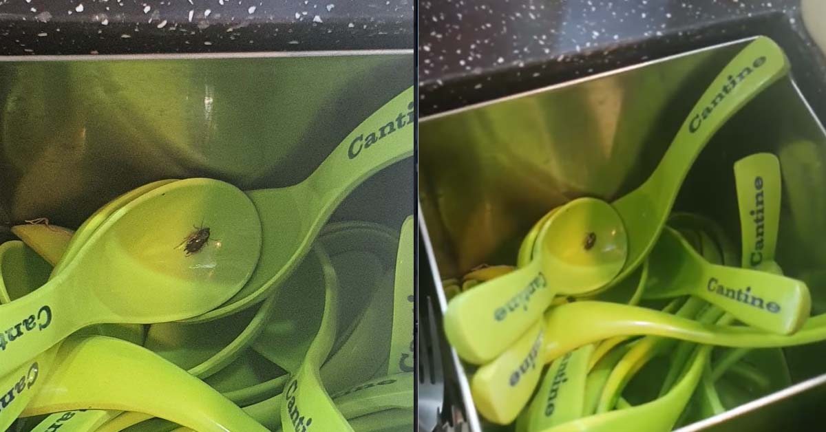 NETIZEN FINDS DEAD FLY IN UTENSILS OF MALA HOTPOT STALL