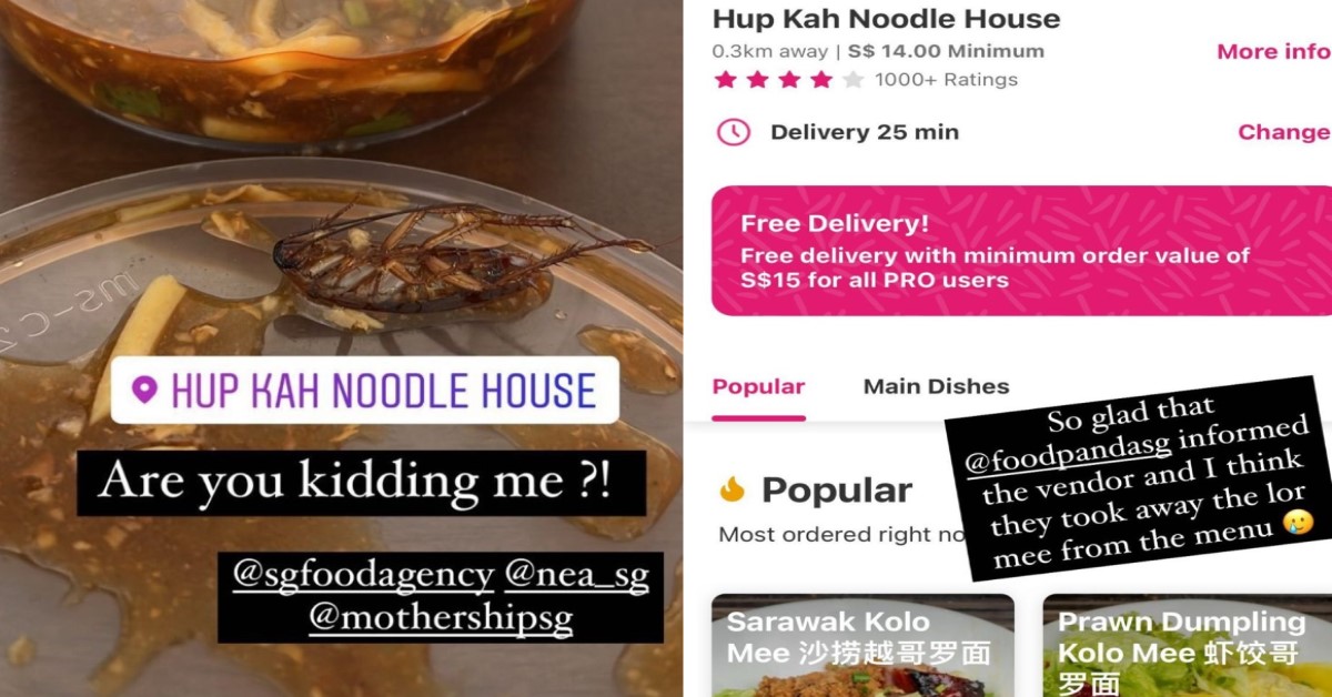 PREGNANT NETIZEN FINDS COCKROACH IN LOR MEE FROM FERNVALE AFTER EATING HALFWAY