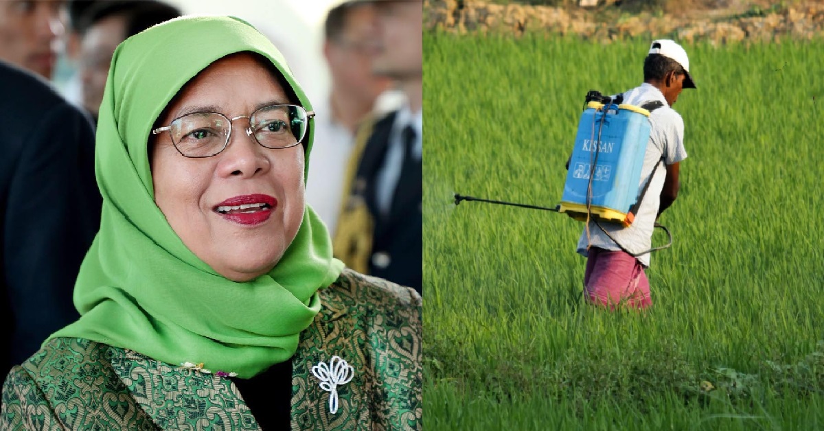 HALIMAH YACOB – LOW WAGE WORKERS NEED TO BE PAID BETTER TO SURVIVE