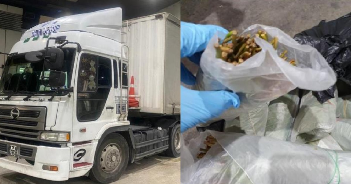 “DRUG LEAVES” FOUND AT WOODLANDS CHECKPOINT, 5 MEN ARRESTED FOR DRUG OFFENCES