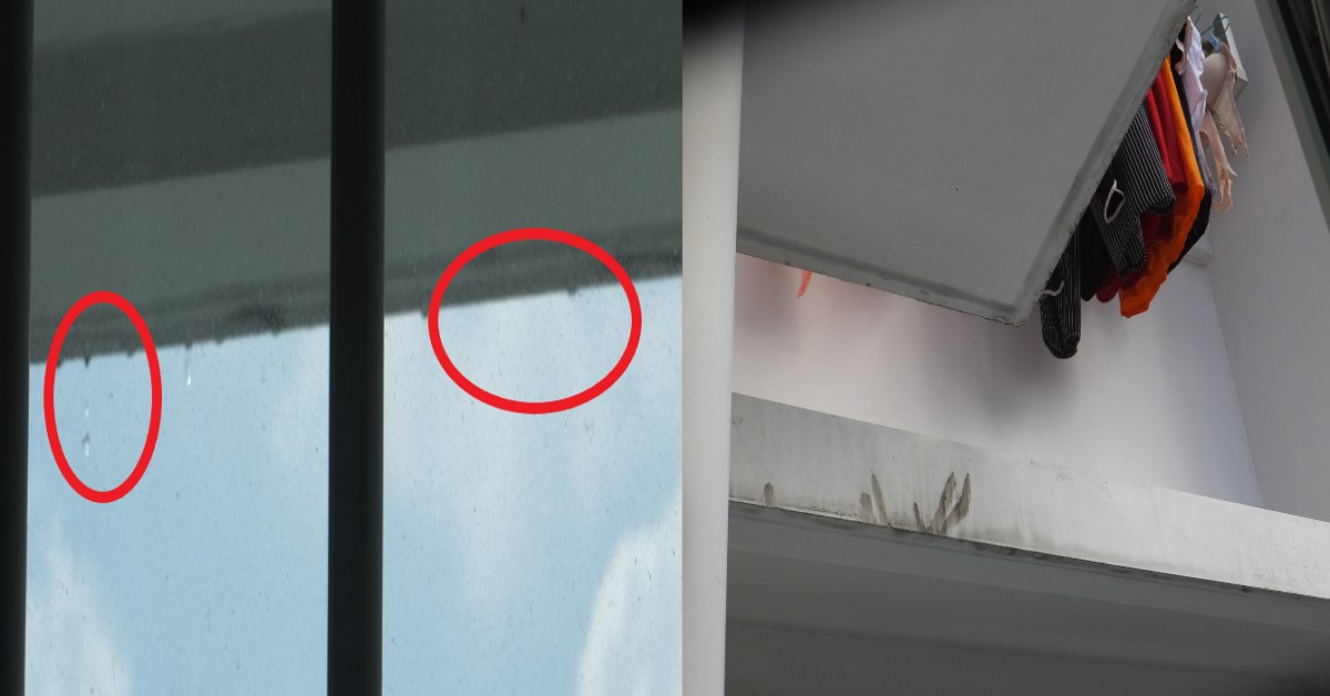 NETIZEN FEEDBACK TO NEIGHBOUR ABOUT DRIPPING LAUNDRY, NEIGHBOUR PUSHES BLAME