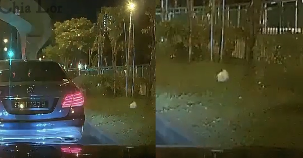 SELF ENTITLED MERCEDES DRIVER SEEN THROWING RUBBISH OUT OF CAR ONTO ROAD