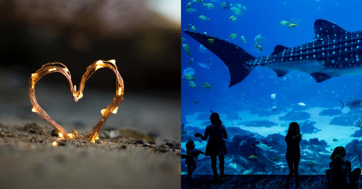 ATTACHED GIRL STILL DESIRES TO FIND MARRIED EX-BF