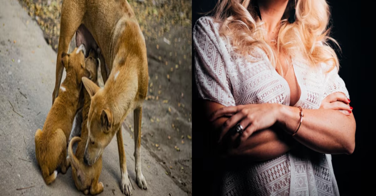 GIRL LETS PUPPY SLEEP ON BED, IT NURSES ON HER ‘MANGOES’