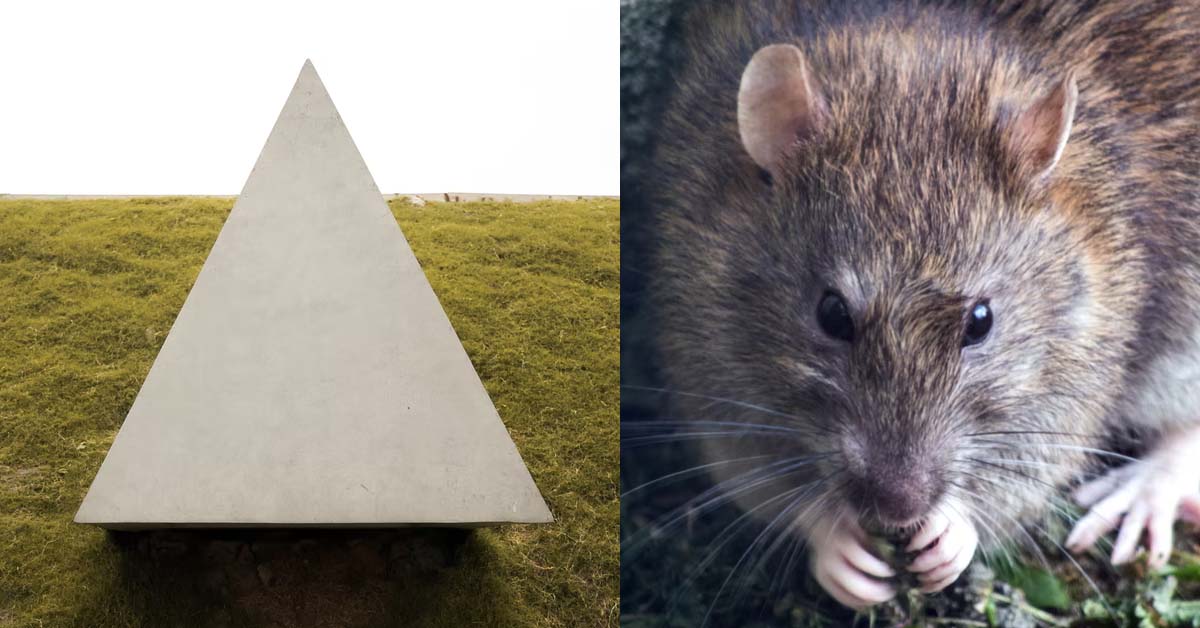 GIRL FLIRTING WITH ATTACHED GUY EXPECTS MORE