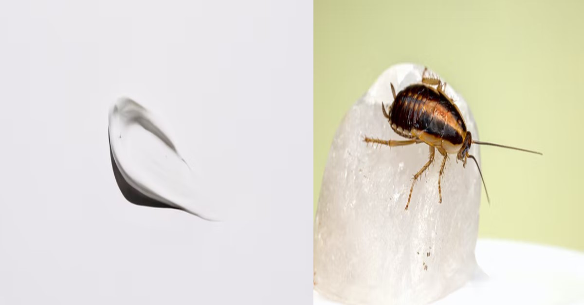 GUY ‘CREAM’ ON BED UNTIL GOT ROACHES, DECIDES TO LIVE TOGETHER