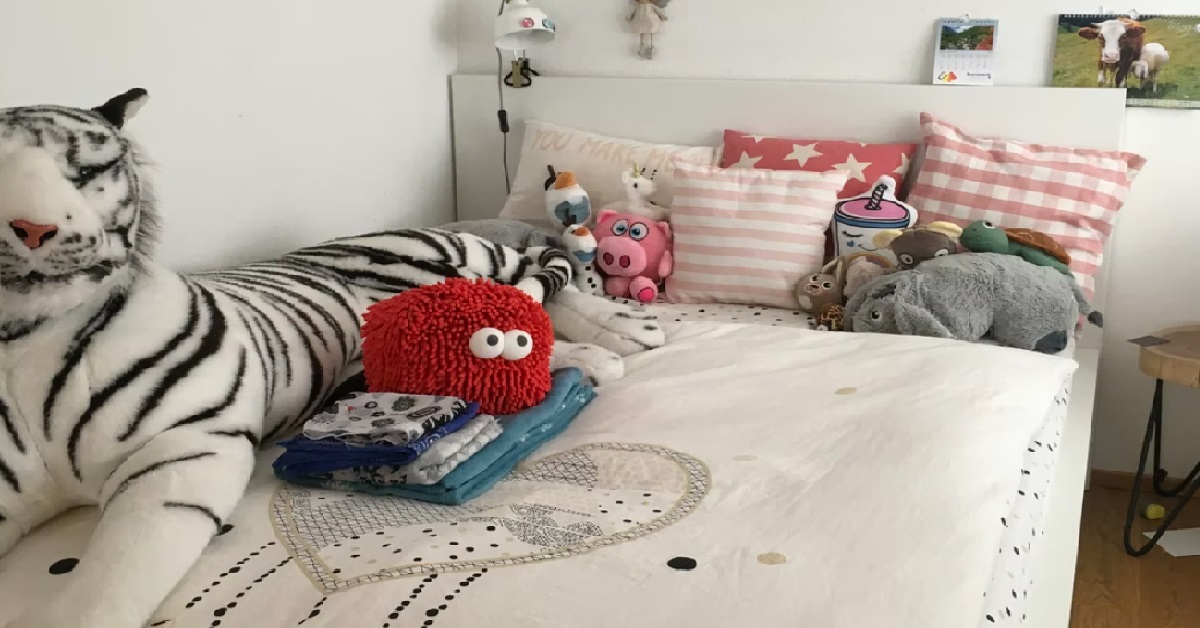 GUY’S SISTER JUST GAVE BIRTH, BUT HE KICKS HER OUT FOR TAKING HIS SON’S ROOM