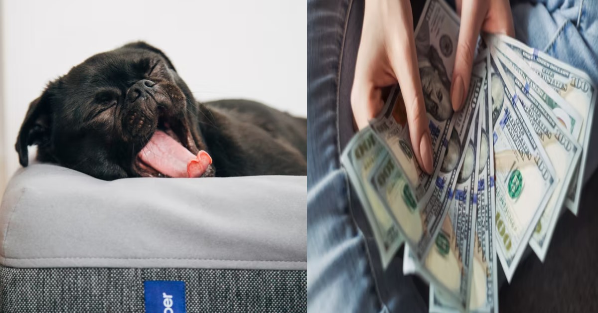 GUY LEAVES JOB THINKING HE COULD DO BETTER, REALITY HITS HIM