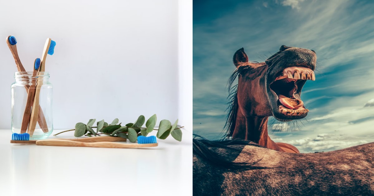 GUY USES SAME TOOTHBRUSH AS ROOM MATE, ONLY REALISES AFTER MONTHS