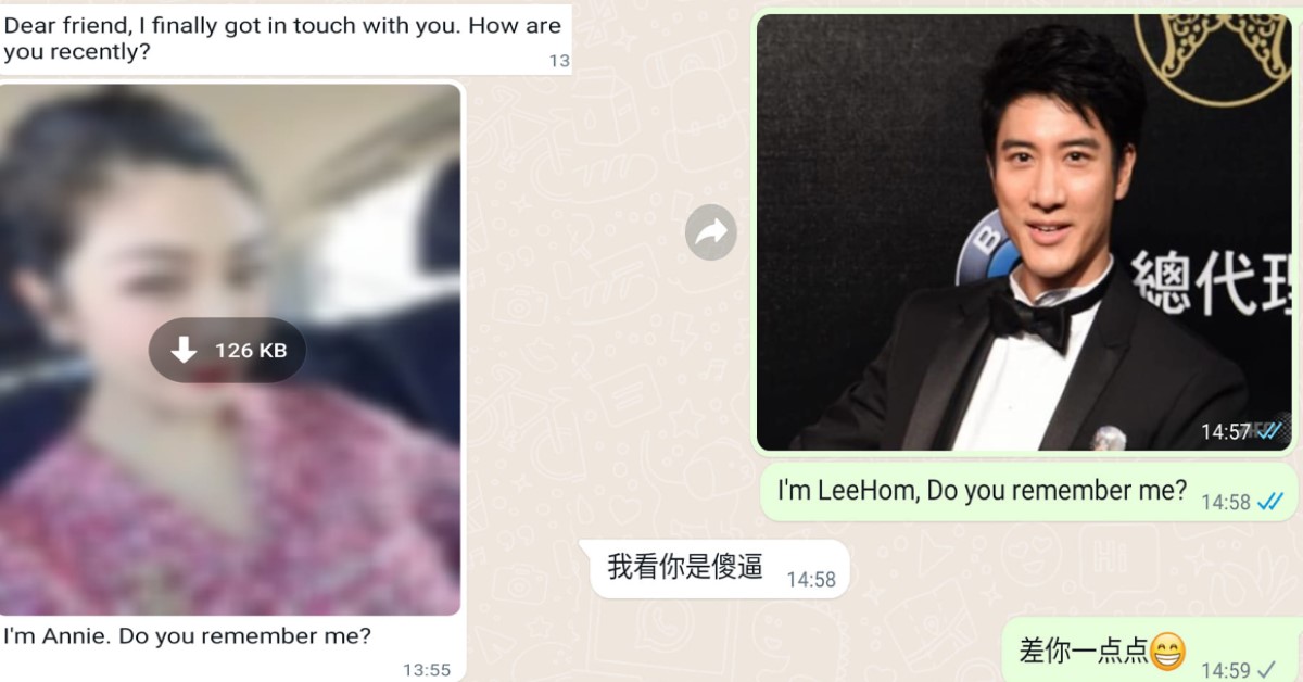 NETIZEN REPLIES TO SCAMMER WHATSAPP WITH WANG LEE HOM PICTURE