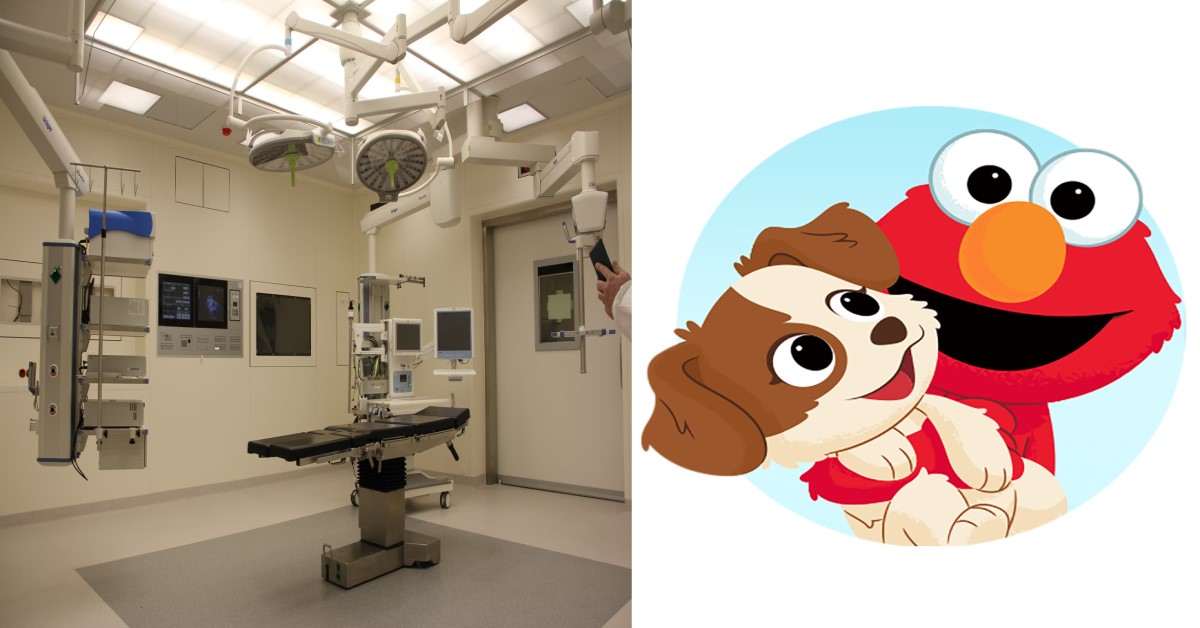 GUY JOKES WITH NURSE ABOUT HIS SESAME STREET FANTASY, NURSE STUPIDLY BELIEVES