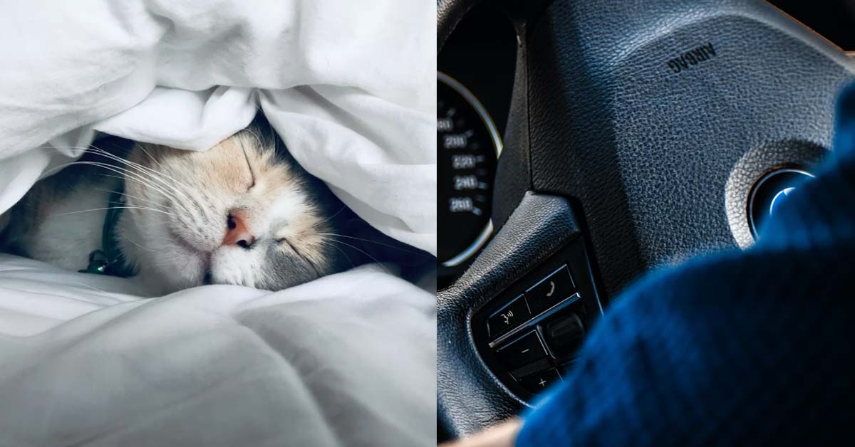 DRIVING INSTRUCTOR SLEEPING ON JOB, MAN PAYING LESSONS FOR FUN