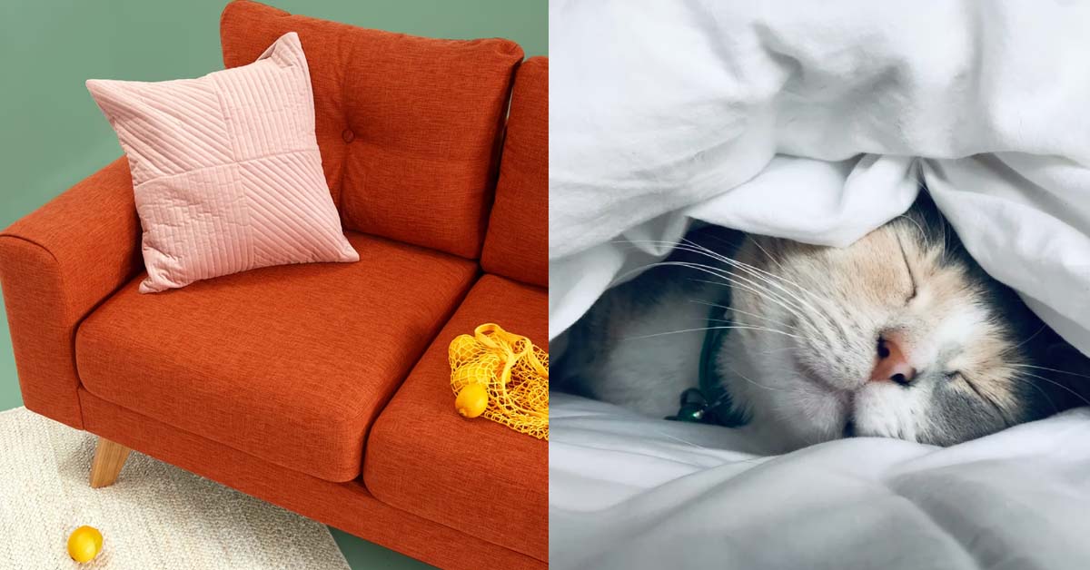 MAN LETS WIFE SLEEP ON SOFA, WIFE WAKES UP FURIOUS