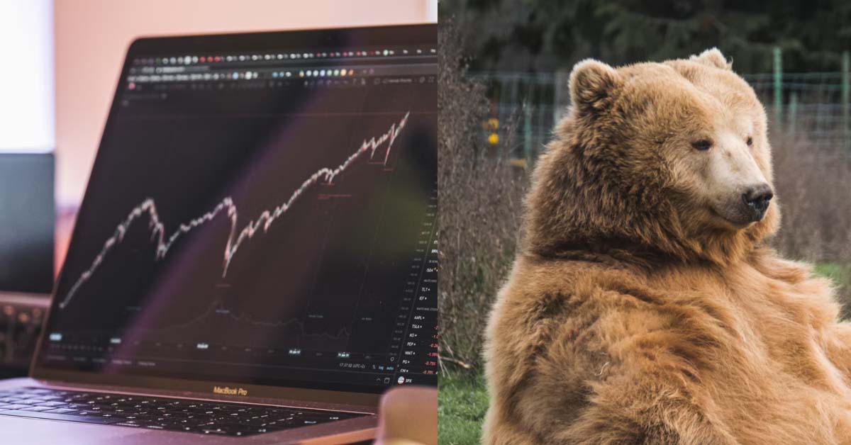 BROTHER PLAY STOCK UNTIL BANKRUPT & DIVORCED PUSHED BLAMES ON WIFE